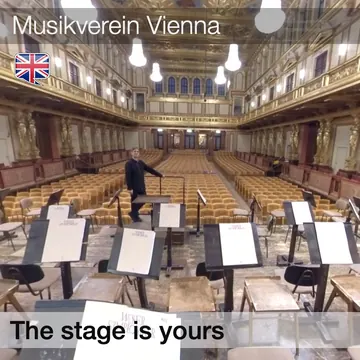 Bühne im Großen Saal, Wiener Musikverein